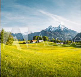 AdobeStock_315349043_Preview-1BB3E593-FAFE-43E2-ABB5-131DC40BF56B